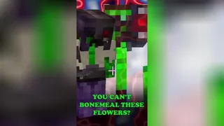 آیا آقای Docm77 کاهش داده شد؟!