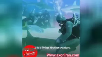 غواصان ماهر و شجاعت