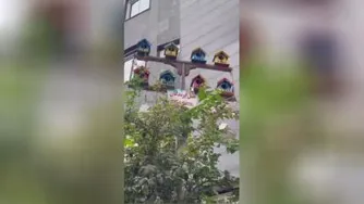 هتلی برای پرندگان