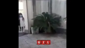 سوپرایز معلم گیلانی