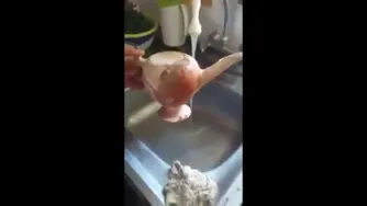 کتری عجیب و غریب