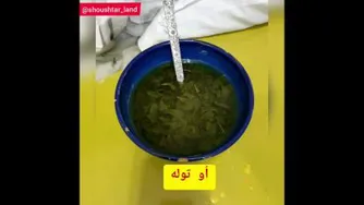 غذاهای محلی شوشتر