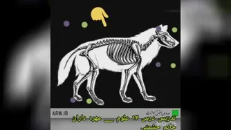 فصل 13 علوم. قسمت چهارم