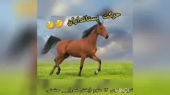 فصل 13 علوم