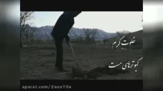هفته درختکاری مبارک