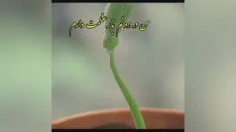 شاداب باشید😍
