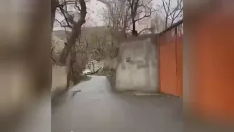 کوچه باغی یعنی این