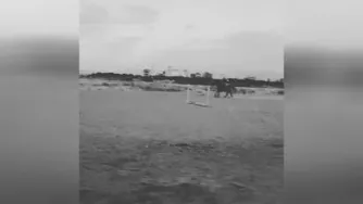 اگه دوسش داری فقط براش تلاش کن..