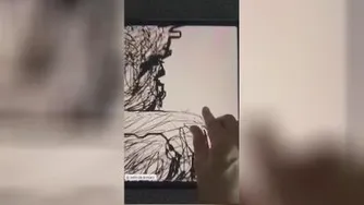 یه میکرونقاشی جالب.