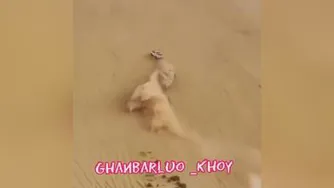 به این میگن سواری