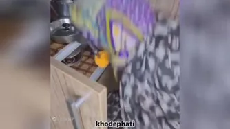 کلیپ طنز خیلی خنده دار درد سرهای روزهای تعطیل