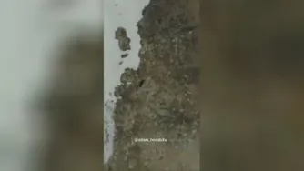 #انگیزشی