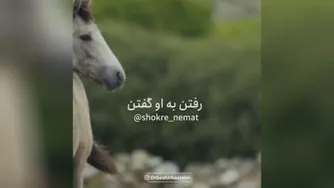 #سرگرمی