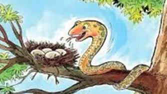 حکایت کلاغ و مار