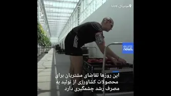 🎥 کشاورزی از تولید به مصرف در بزرگترین ‌گلخانهٔ روی بام دنیا