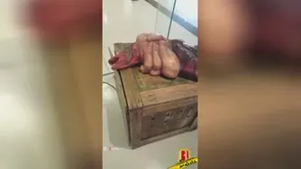 ماهی های زیر دریا که تا به حال ندیده اید💖💖💖