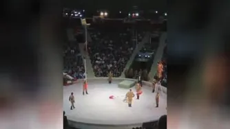 یه حرکت پشم جیزون از بروبچ سیرک! 😳