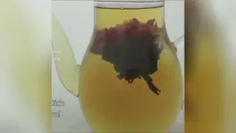 چای بلومینگ یا چای شکوفا شونده😍 این چای با قرار گرفتن در آب جوش می شکفه و به ش