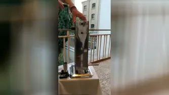 اتاقک پخت بخا ر