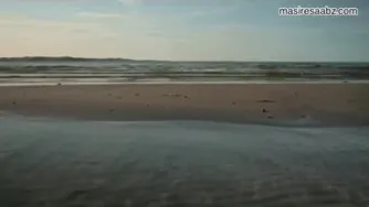 ویدو آرامش
