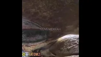 داخل غارحرا