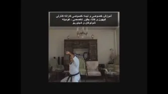 کاتای هیکو - امیر حسین البرز Kata Heiku - Alborz