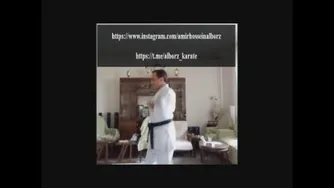 امیر حسین البرز Amir Hossein Alborz-Nijushiho