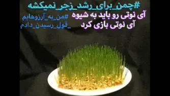 چمن براى رشد زجر نمى کشه