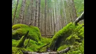 زندگی صحنه یکتای هنرمندی ماست