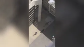 هدف دقیق