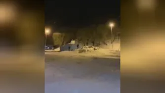 از سرنوشت هیچ کدومشون دیگه خبری نیست