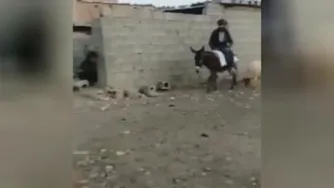 به فنا رفت بدبخت 😂