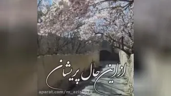 🌸 کلیپ زیبای بهار 🌸