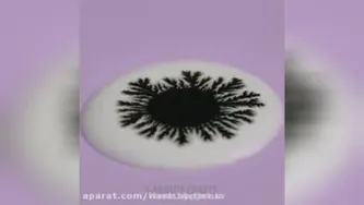 جالب و کاربردی