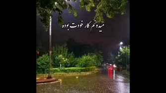 ❣جانِ جانان صدهزار مرتبه شکرت برای همه چیز ❣