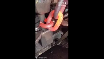 حتما ببینید ☝ واقعا جالبه