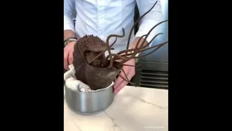 مگه میشه 😱
