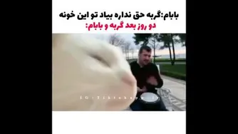 وقتی بابام میگه گربه نخر اما خودش...