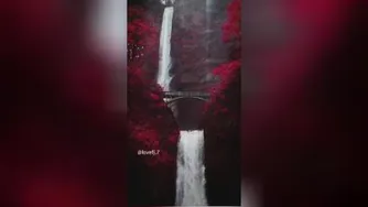 از خدا دل آرام بخواهید.نه دریای آرام