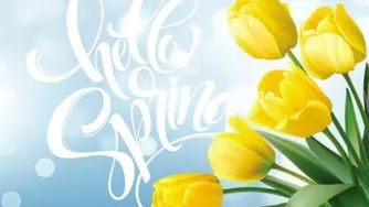 sarı Laleler آهنگ زیبای ترکی لاله های زرد