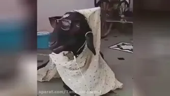 بازدید کنید