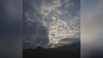 به خدا بسپار