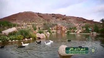 نمایی از پارک آبشار شهرستان بافق