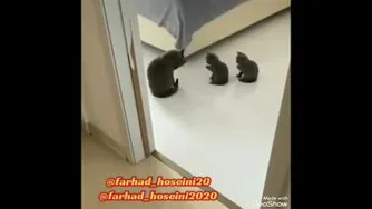صداگذاری باحال 😂😂😂😂😂
