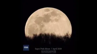 زیبایى هاى خلقت