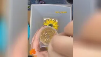 ایده خونه👏👍👍👍