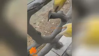 ایده های جذاب👍👍