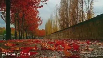 هوای دونفره