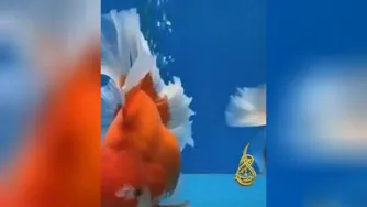 قدرت و عظمت خدا را در این کلیپ ببینید...👌