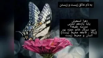 تخریب محیط زیست